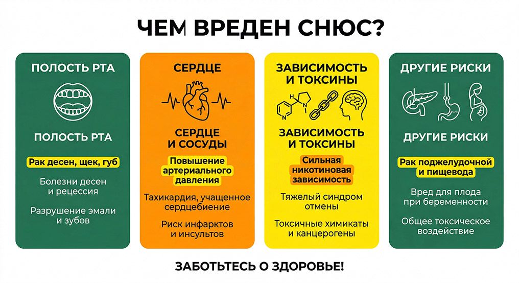Подробная инфографика о последствиях употребления снюса: поражение слизистой рта, риск рака десен, нагрузка на сердце и сосуды, развитие тяжелой никотиновой зависимости и токсическое воздействие на организм